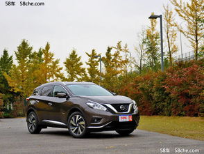 楼兰混动汽车油耗多少