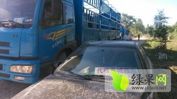 禹城到齐河汽车多少钱