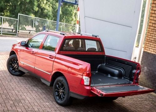 汽车最多能装多少大象