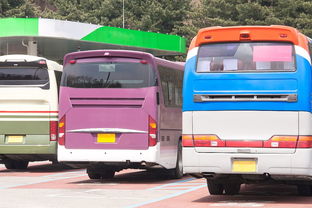 新干汽车站电话是多少