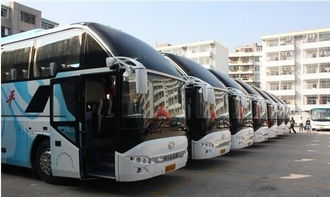 商丘到嘉祥汽车多少钱