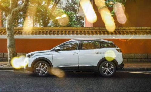 东风狮子汽车多少钱