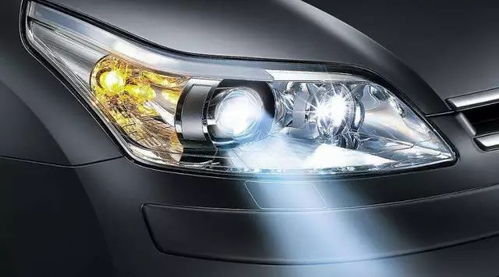 汽车大灯灯泡多少钱