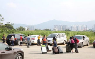 田阳往靖西汽车多少种