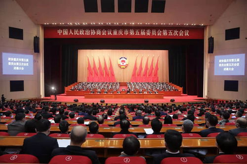 重庆市政协副主席段成刚被查 重庆市政协副主席段成刚被查