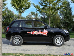 瑞虎汽车2010多少钱