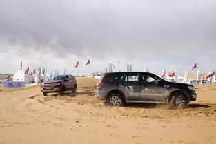 汽车安装多少吨黄沙合法 汽车安装多少吨黄沙合法