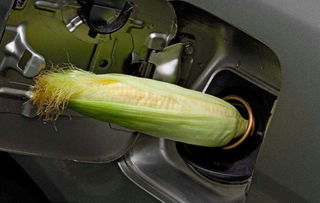 汽车汽油加多少标准