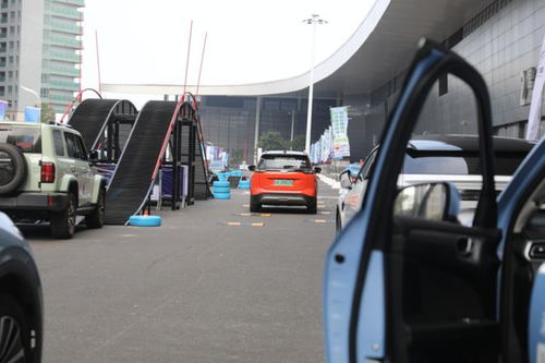 2022海口汽车有多少