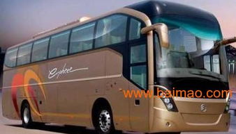 青州到烟台汽车多少钱