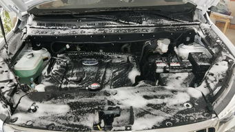 精洗一下汽车要多少钱