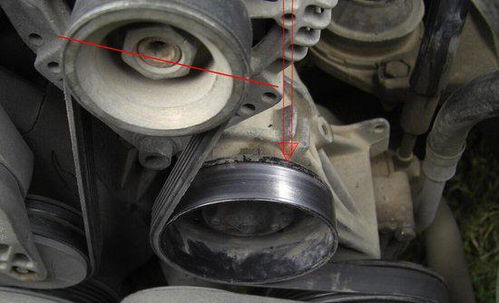 汽车发动机皮带多少钱