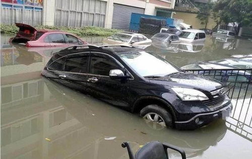 汽车泡水后保险赔付多少 汽车泡水后保险赔付多少