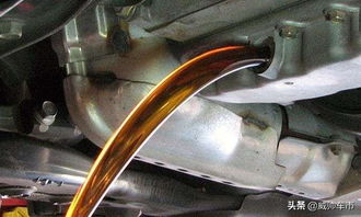 汽车变速箱油加多少钱