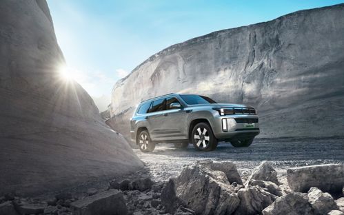 北京汽车置换年限是多少