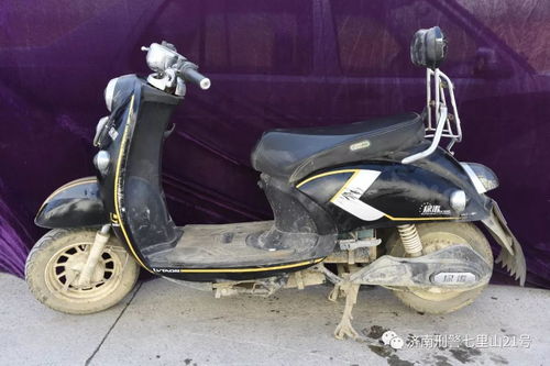 阳谷电动汽车有多少