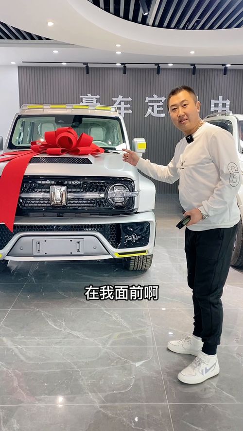 赛博汽车300多少台