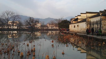 屯溪到黟县汽车多少钱