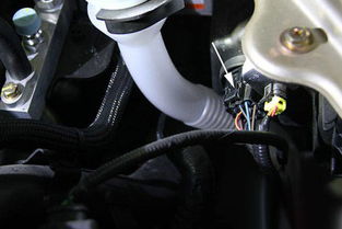 汽车近光灯线束多少钱 汽车近光灯线束多少钱