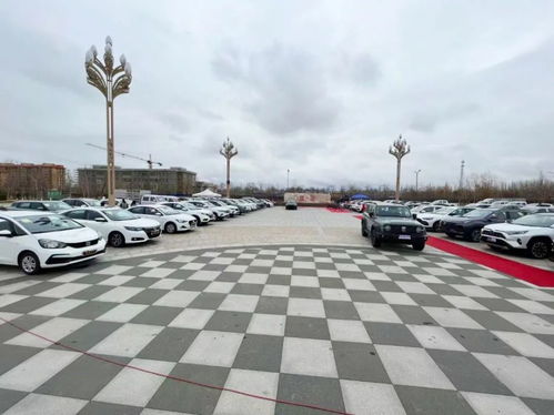 巩留县汽车总量有多少