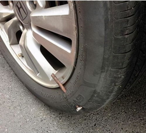 补个汽车轮胎多少钱