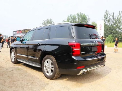 国产高档汽车多少价位的