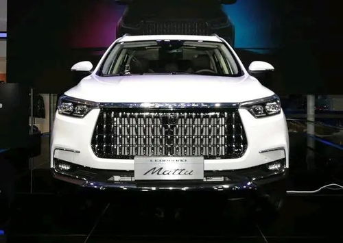 国产高档汽车多少价位的