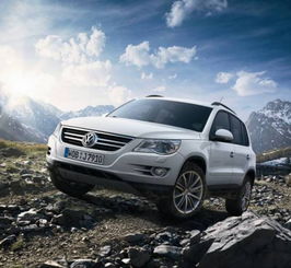 多少汽车是大众的车