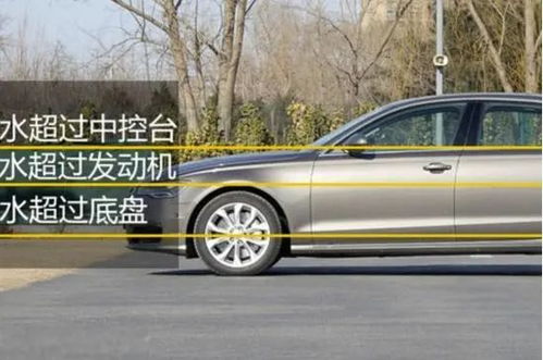 河南汽车泡水多少度 河南汽车泡水多少度