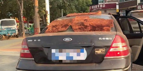 河南汽车泡水多少度 河南汽车泡水多少度