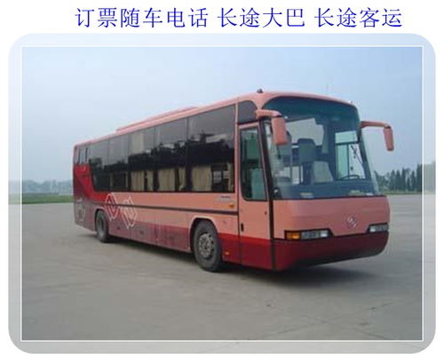 威海到青岛汽车多少钱