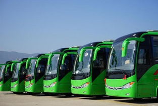 西安临潼汽车租金多少 西安临潼汽车租金多少