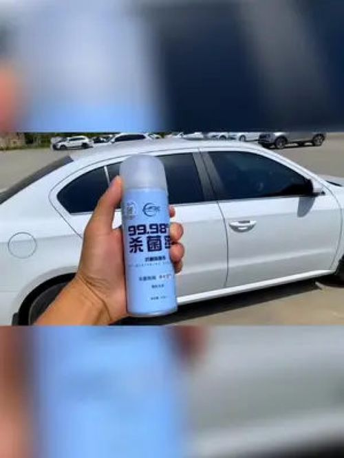 汽车雾化消毒多少钱