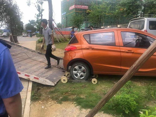 汽车违法停放罚多少款