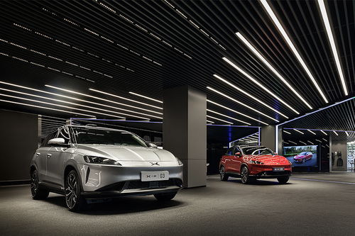 小鹏失速车主遇险 4S店:赔积分