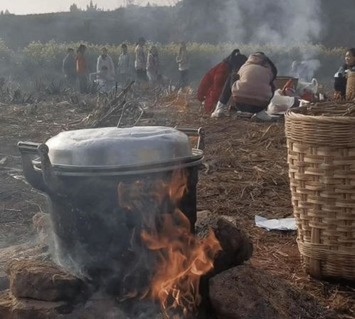 小学生背锅碗瓢盆徒步4公里春游野炊
