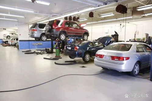 汽车保养店需要多少钱