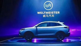 豆丁汽车多少钱