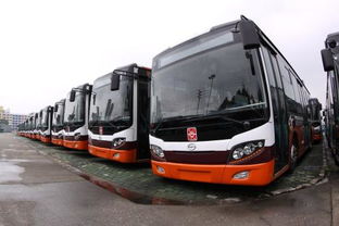 公共汽车多少钱一辆