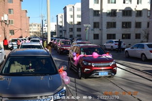 日本汽车可以带多少酒