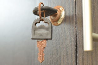 安装汽车遥控锁多少钱