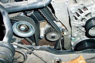 奇瑞汽车皮带多少钱