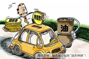 汽车保养保险怎么看多少