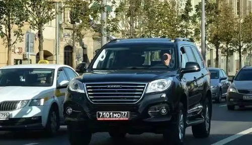 品牌汽车在中国有多少