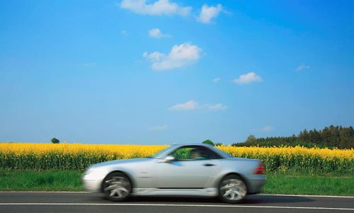 汽车变小药水多少钱