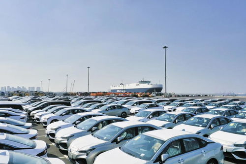 天津港的汽车便宜多少