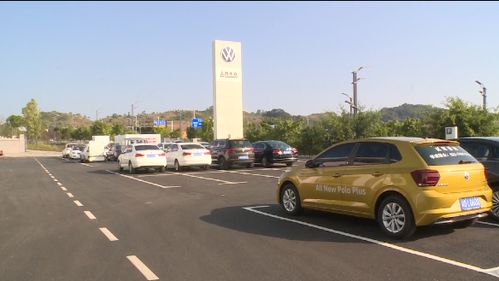 垫江县汽车总量有多少