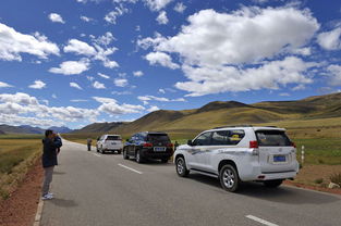 邢台汽车租赁多少钱