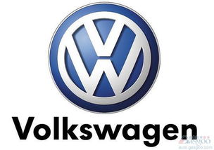 大众汽车最大投资多少