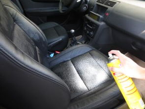 汽车清洗座椅多少钱